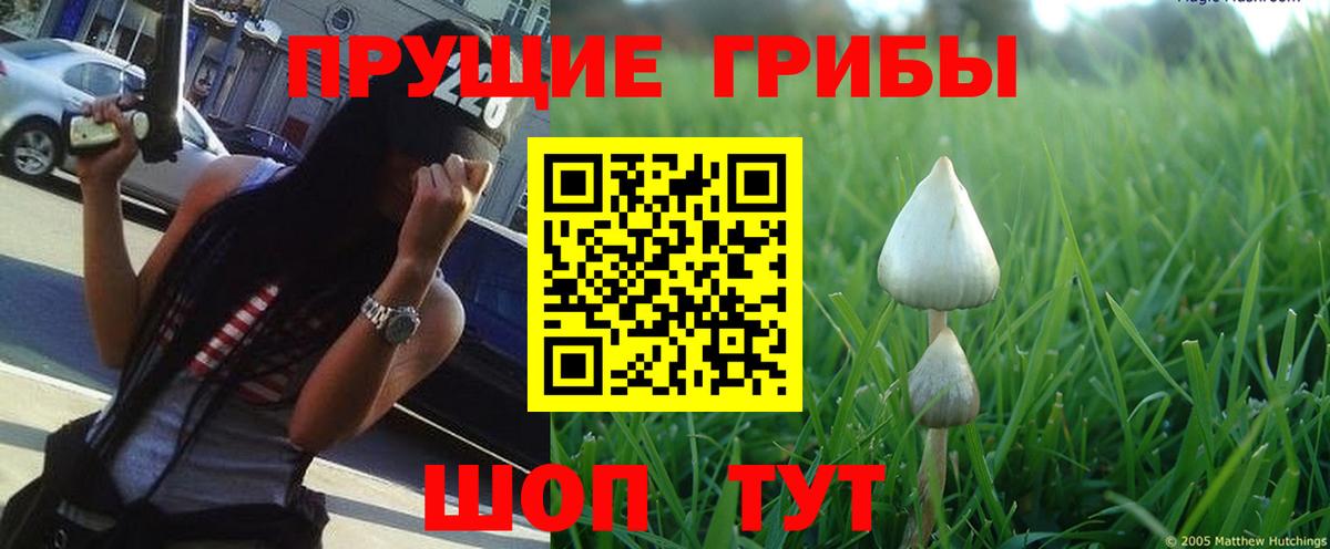 Галлюциногенные грибы мухоморы Узловая